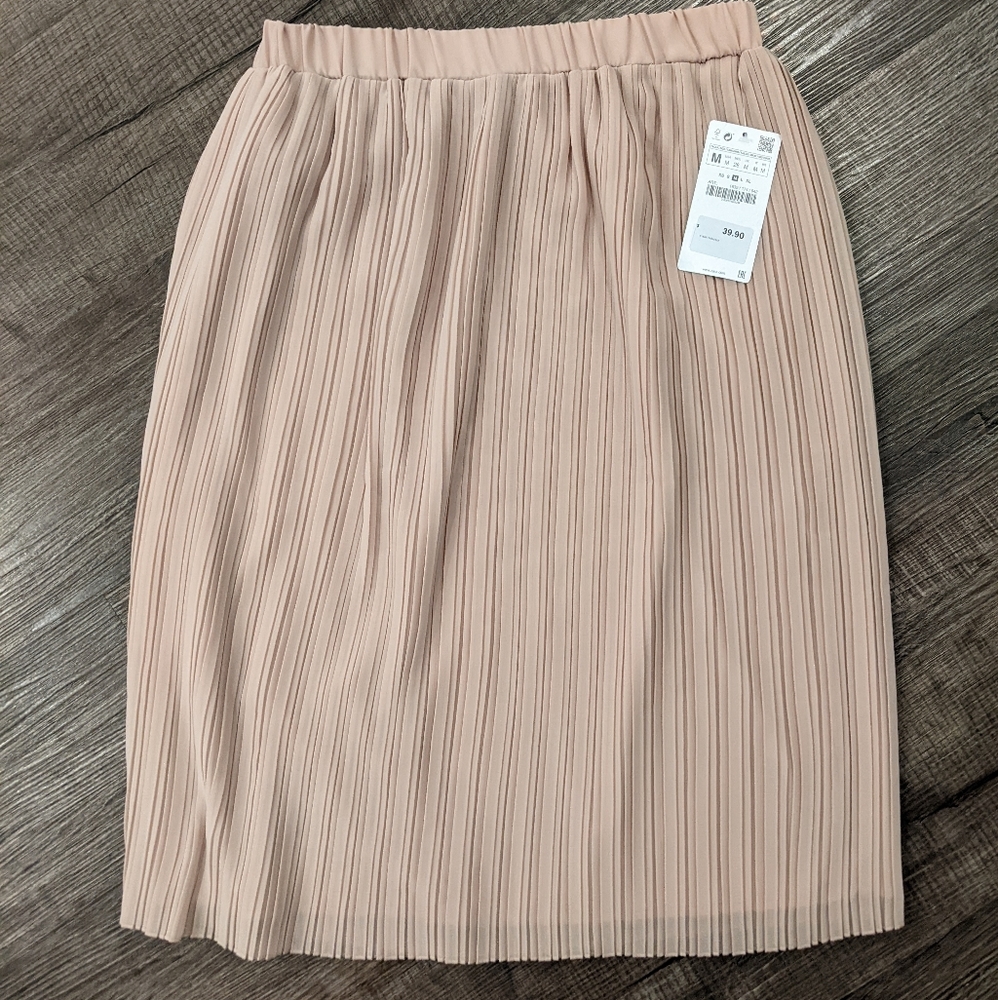 Zara skirt nwt